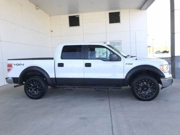 2010 FORD F-150
