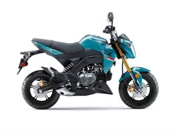 2021 KAWASAKI Z125 PRO