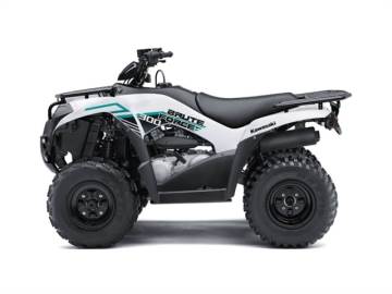 2022 KAWASAKI BRUTE FORCE
