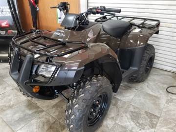 2022 HONDA TRX250