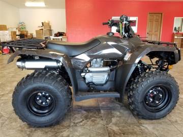 2022 HONDA TRX250TE