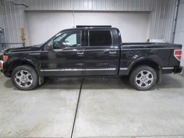 2010 FORD F-150