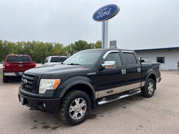 2010 FORD F-150