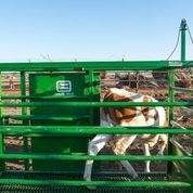 2021 CHUTE HELP STRIPPING CHUTE