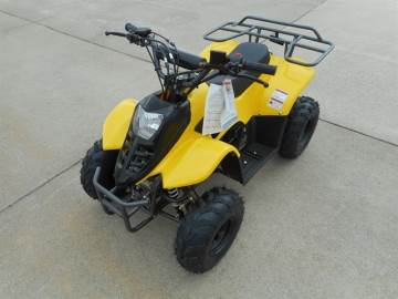 2021 UNKNOWN 110 CC