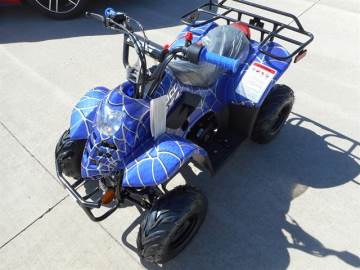 2022 UNKNOWN 110CC
