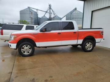2010 FORD F-150