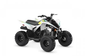 2022 YAMAHA RAPTOR 90
