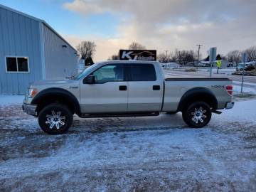 2010 FORD F-150