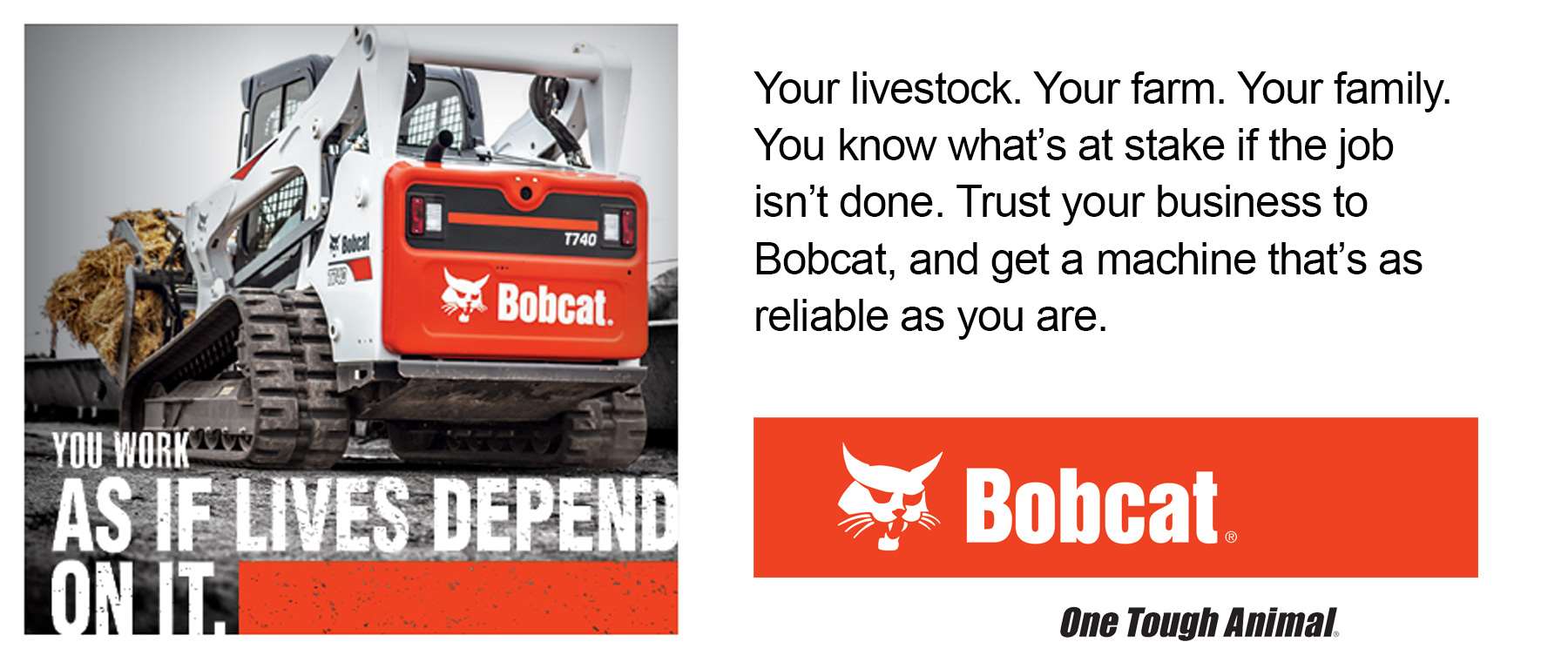 Bobcat - your work