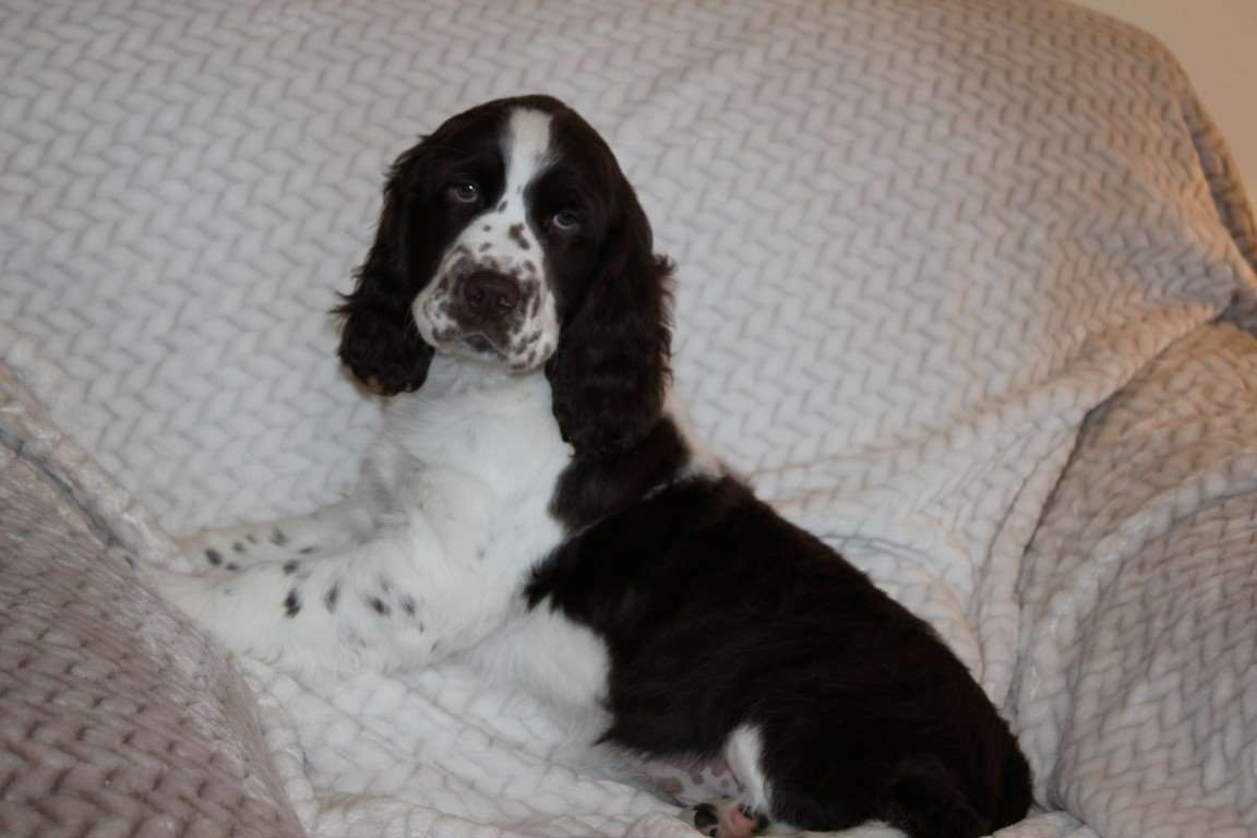Keloland Classifieds Sioux Falls Sd Keloland