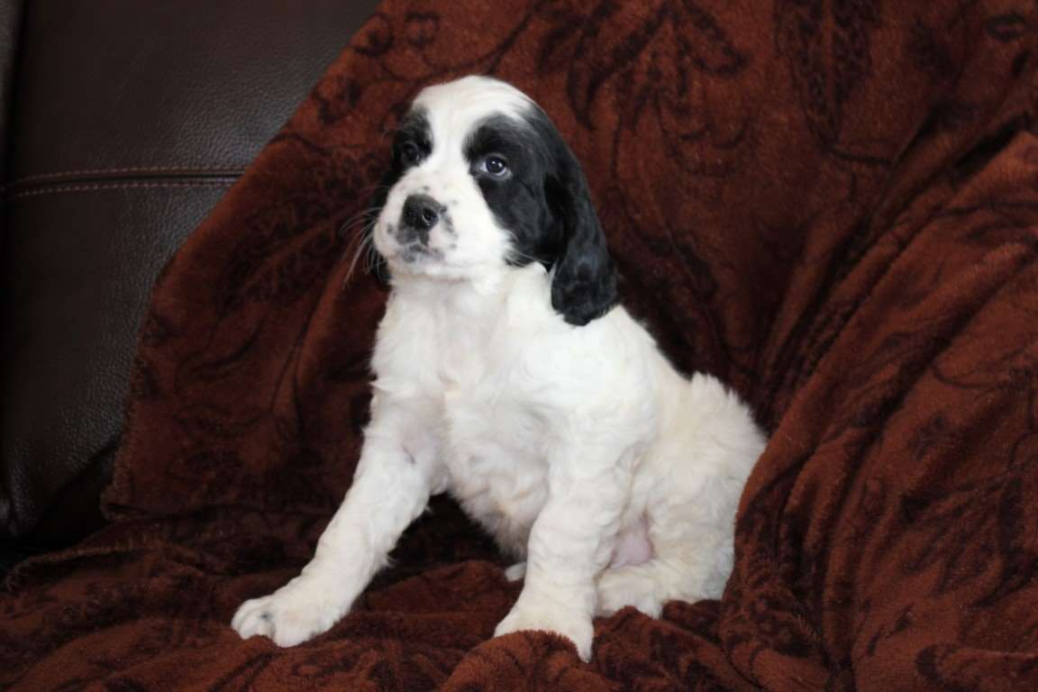 Keloland Classifieds Sioux Falls Sd Keloland