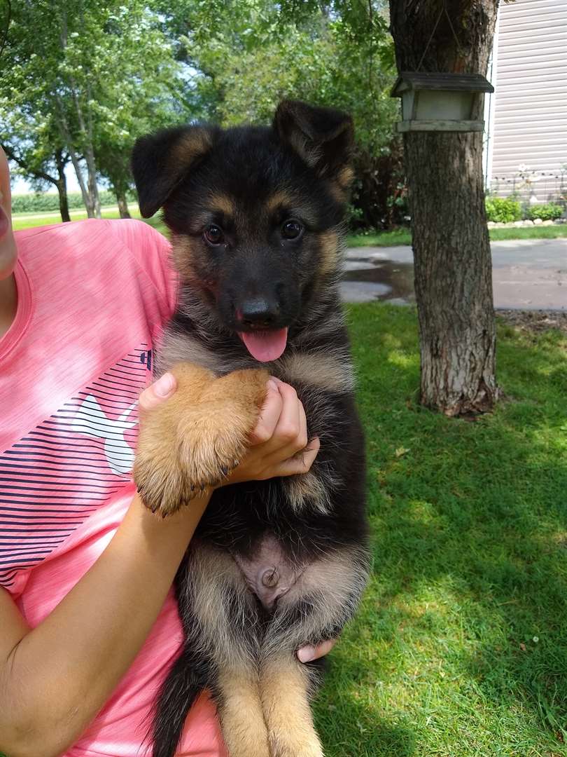 Keloland Classifieds Sioux Falls Sd Keloland