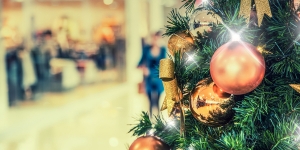 5 Ways to Protect Yourself this Holiday Shopping Season