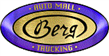 BERG AUTO MALL & TRUCKING INC