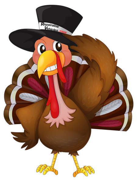 Happy Thanksgiving Turkey