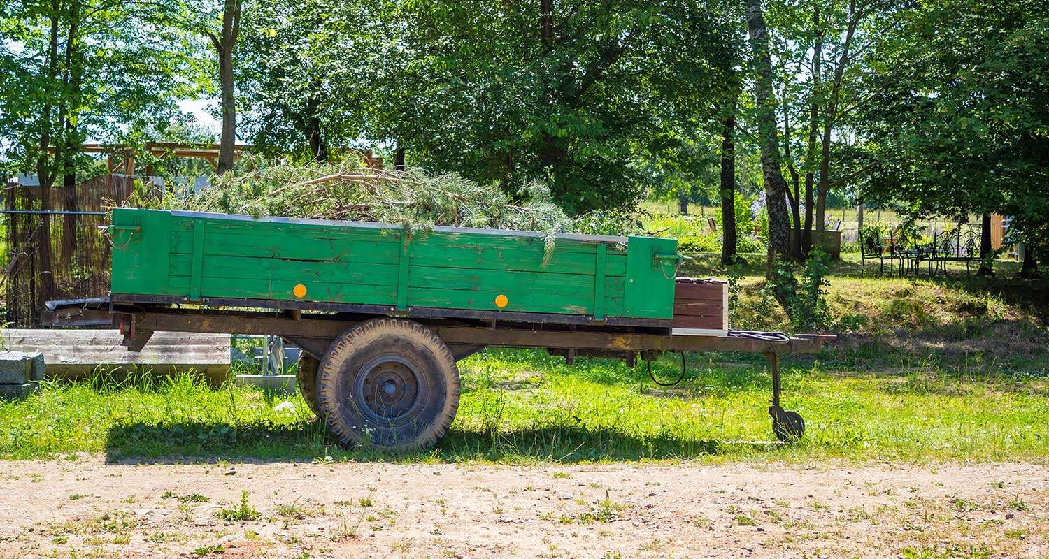 A profile image of a green dump trailer in a grassy area with several branches in it.
