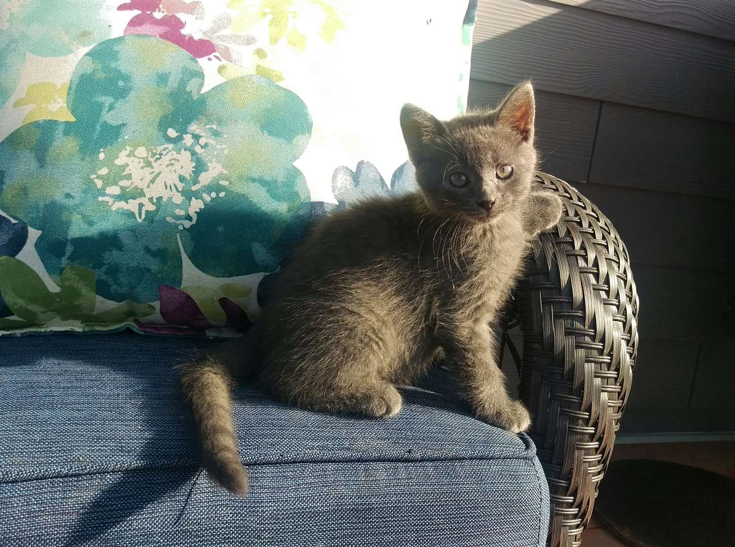 KELOLAND Classifieds Sioux Falls, SD KELOLAND