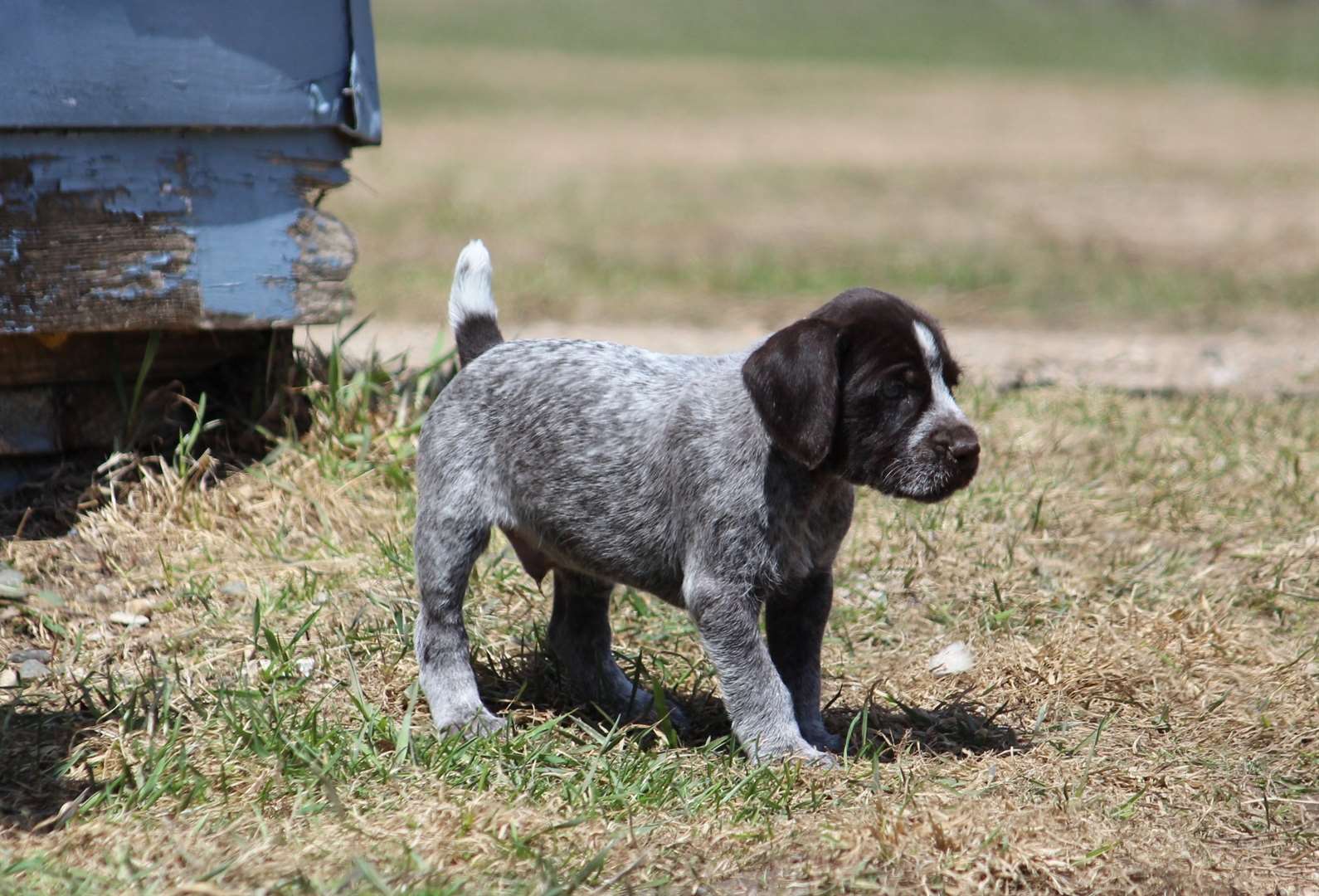 KELOLAND Classifieds Sioux Falls, SD KELOLAND