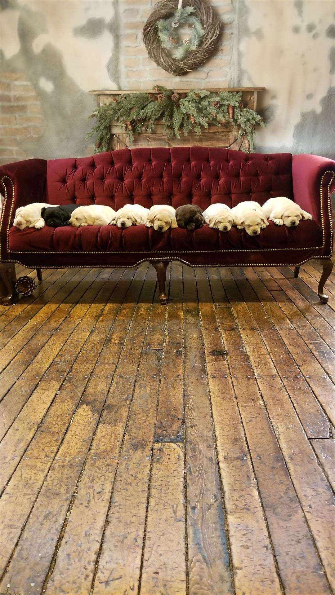 KELOLAND Classifieds Sioux Falls, SD KELOLAND