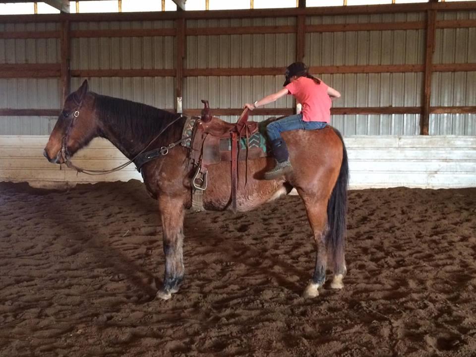 KELOLAND Classifieds Sioux Falls, SD KELOLAND