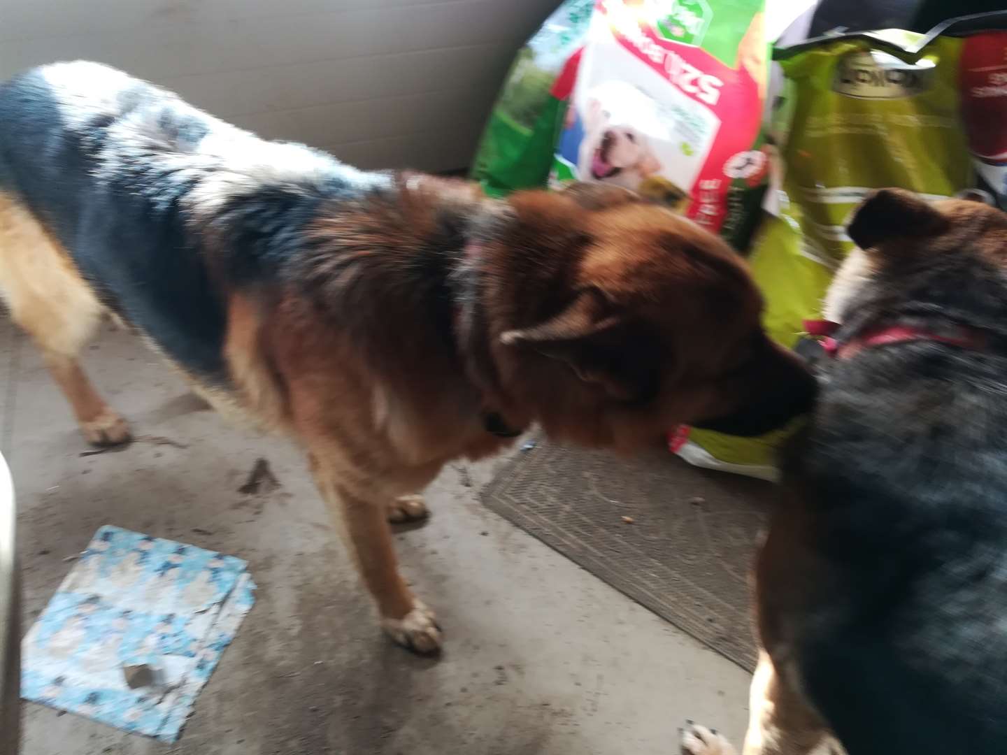 KELOLAND Classifieds Sioux Falls, SD KELOLAND