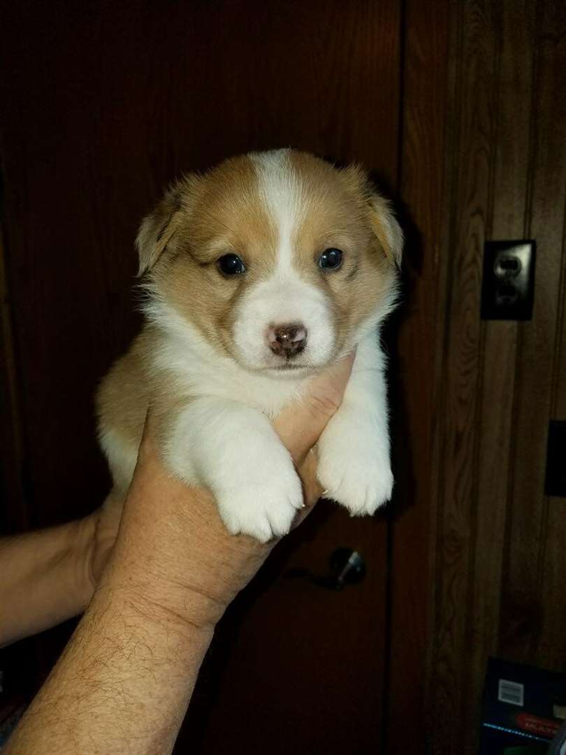 KELOLAND Classifieds Sioux Falls, SD KELOLAND