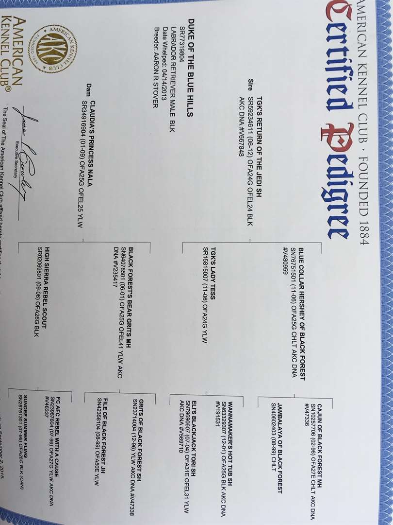 Keloland Classifieds Sioux Falls Sd Keloland