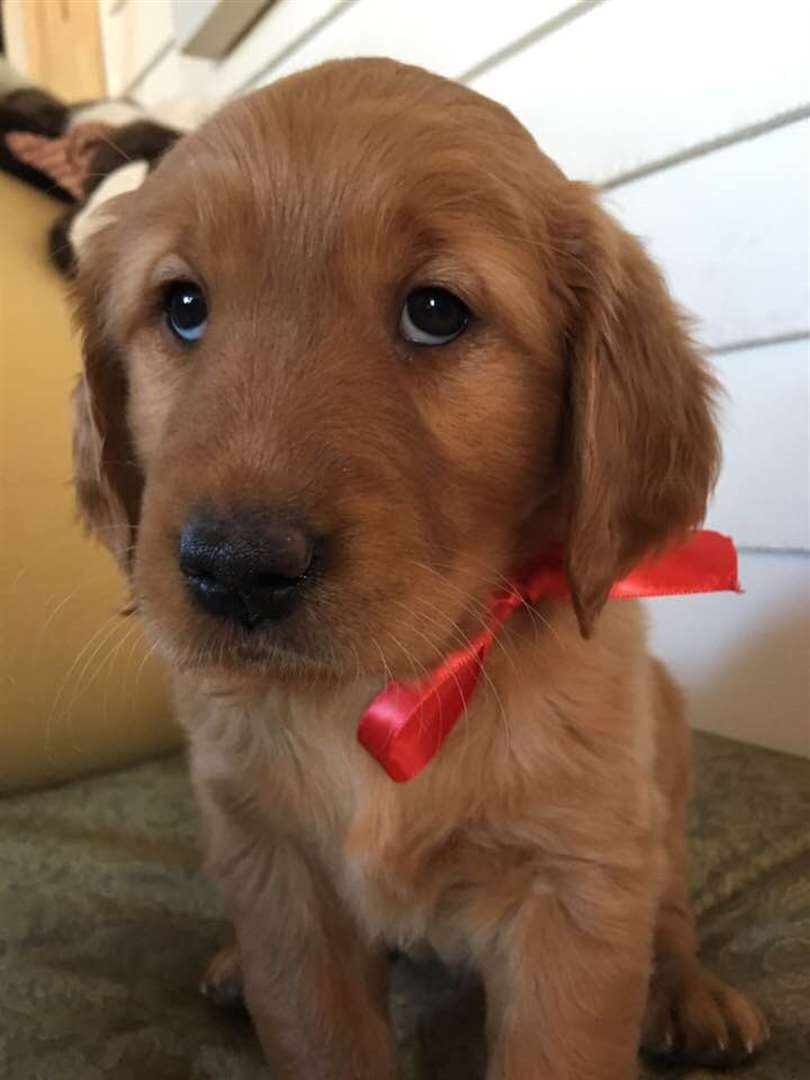 KELOLAND Classifieds Sioux Falls, SD KELOLAND