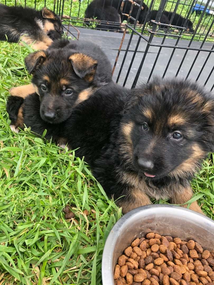 KELOLAND Classifieds Sioux Falls, SD KELOLAND