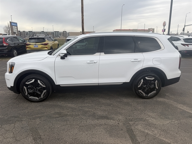 2024 Kia Telluride EX AWD's photo