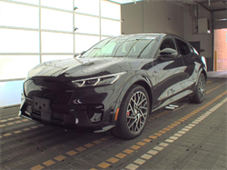 2022 Ford Mustang Mach-E