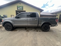 2010 FORD F-150