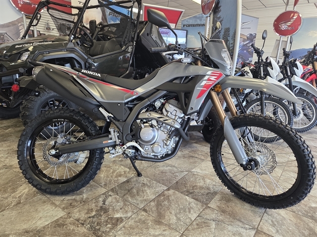 2025 HONDA CRF300LS
