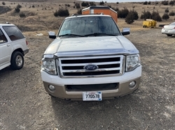 2014 Ford Expedition