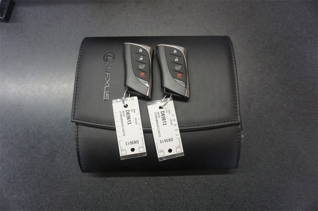 2024 Lexus RX Premium photo 18
