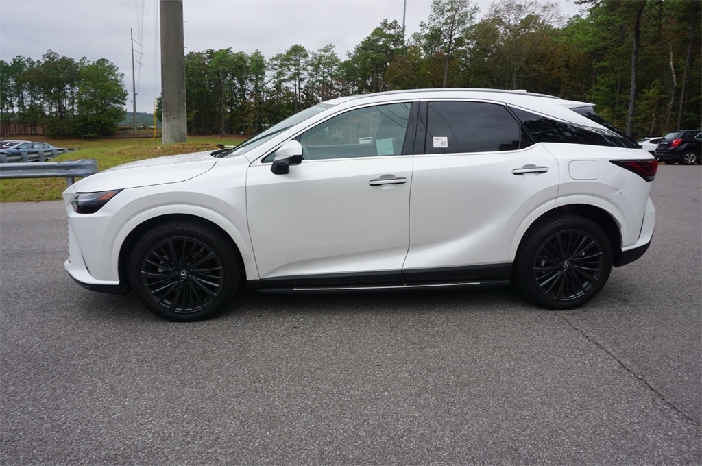 2024 Lexus RX Premium photo 20