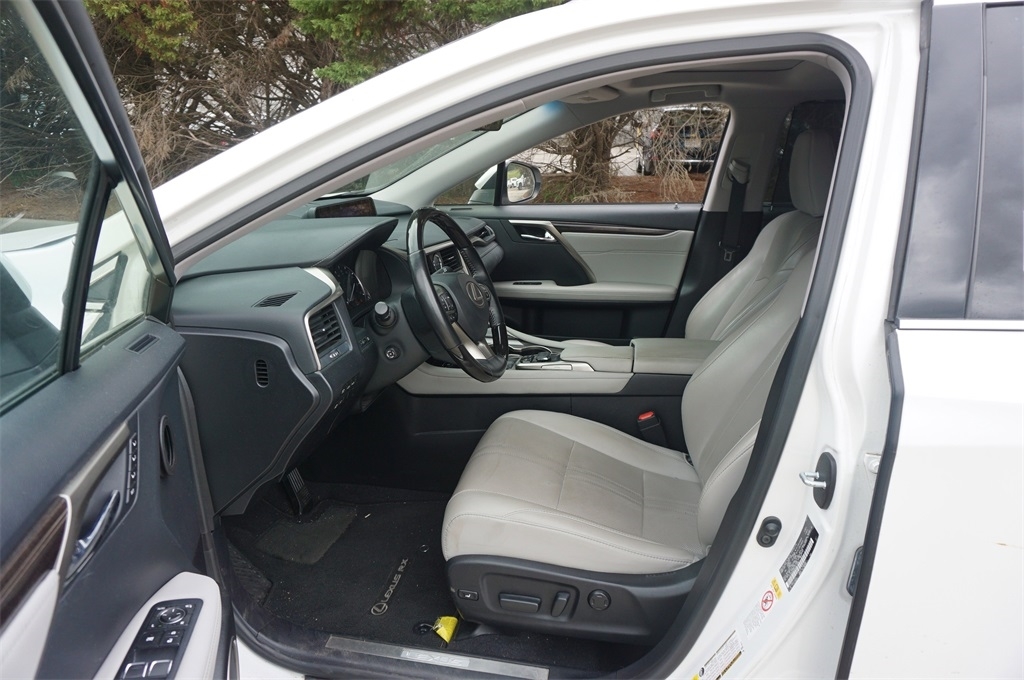 2019 Lexus RX Luxury photo 2
