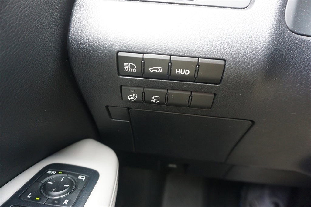 2019 Lexus RX Luxury photo 4