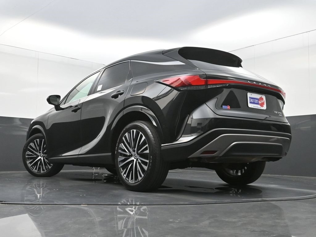 2023 Lexus RX 350 - Photo 29