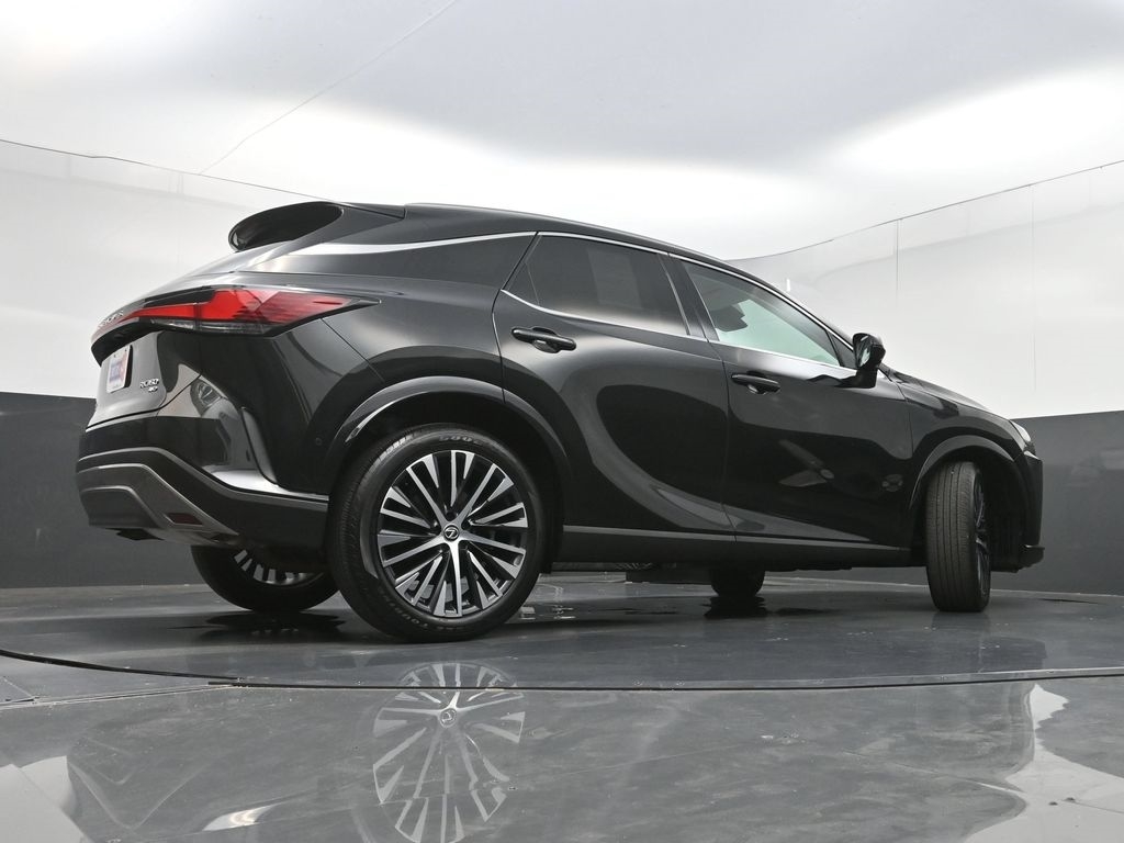 2023 Lexus RX 350 - Photo 31