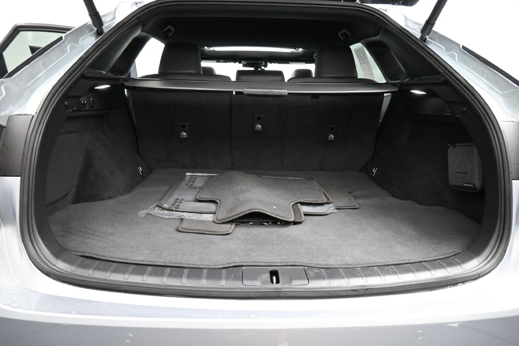 2023 Lexus RX 350 - Photo 19