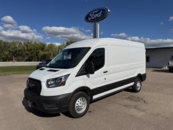 2025 Ford Transit Cargo Van