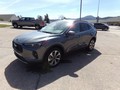 2025 Ford Escape Platinum - Photo 7