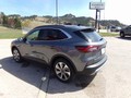 2025 Ford Escape Platinum - Photo 9