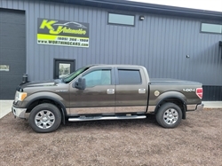 2009 Ford F-150