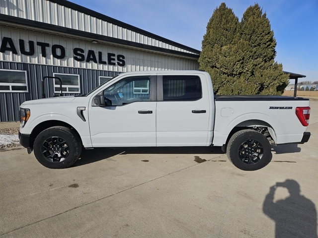 2023 Ford F-150 XL's photo