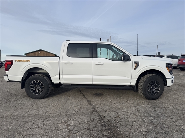 2025 Ford F-150 Tremor's photo