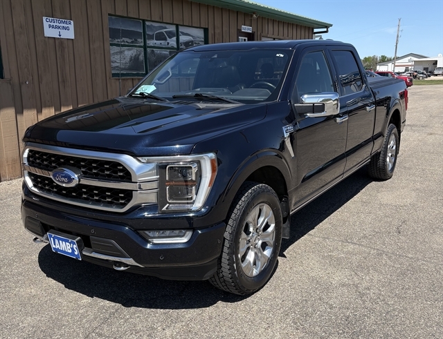 2021 Ford F-150 Platinum 4x4 SuperCrew 5-1/2 Box's photo
