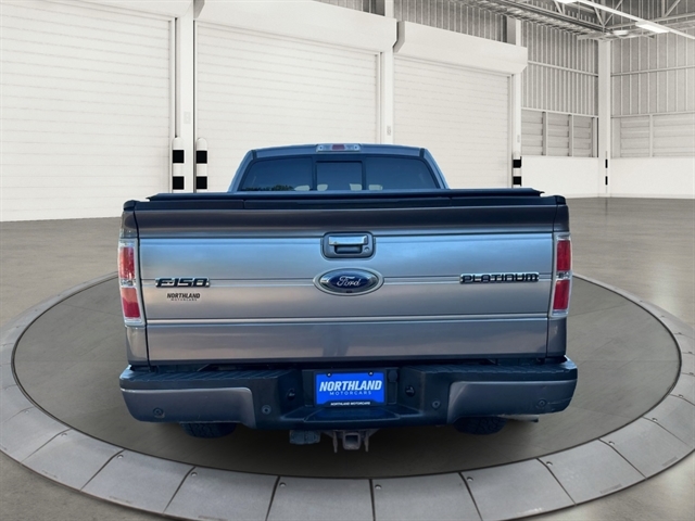 2014 Ford F-150 Platinum photo 3